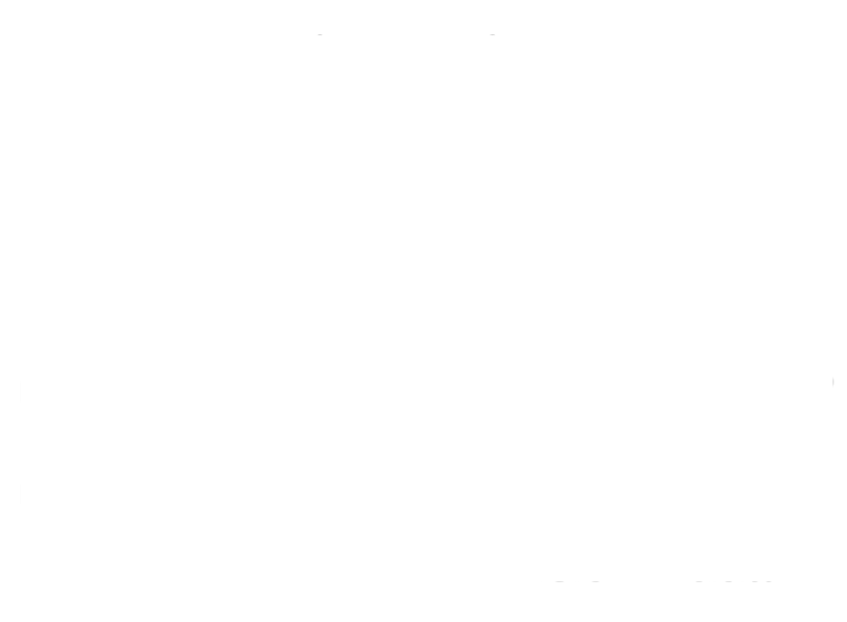 nelgats r logo white png